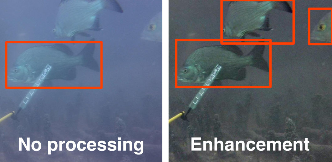 Enhance to generalize